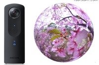 花見ピーク目前、360度「桜のライブ動画」でバーチャルお花見 画像