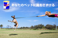 ペットにも翼をさずける!? 「ペットブル」登場 画像