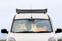フェリシモ、ユニークデザインのサンシェードを発売…つぶらな瞳の柴犬が運転席に 画像