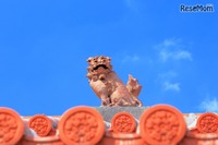 沖縄梅雨明けか、向こう一週間で30度越え予想 画像