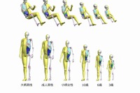 トヨタ、バーチャル人体モデルに子ども仕様を追加…エアバッグなどの開発に活用 画像