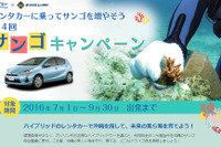 沖縄でレンタカー利用料金の一部をサンゴ保全活動へ寄付 画像