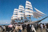 【海の日】海フェスタ東三河、8市町村の広域連合で開催 画像