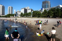 駐車場の空き情報、リアルタイム提供…夏休みの臨海都心 画像