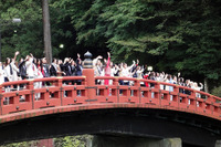 世界のミス68人、東武特急・金谷ホテル・日光神橋を彩る 画像