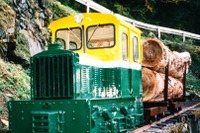 美術館で森林鉄道の企画展…機関車など展示 画像