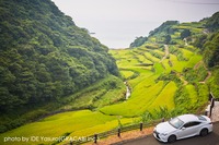 「食材探しの旅」INTERSECT BY LEXUS-TOKYOがコラボメニューを展開 画像