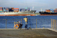川崎汽船・商船三井・日本郵船、コンテナ船事業を統合…世界シェア6位へ 画像