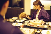 JAL、ワンワンワンワン便を運航---機内で愛犬と過ごせます 画像