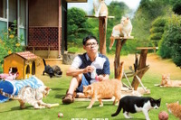 『ねこあつめの家』“キャット＆キャスト”集結ポスター…ゲームアプリ実写映画化 画像