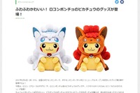 これは羊羹ですね---『ポケモン』ハクタイ地方の名物「もりのヨウカン」が商品化! 画像