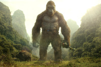 閲覧注意:巨大生物図鑑? 写真解禁『キングコング:髑髏島の巨神』 画像