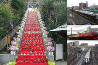 ひな人形3万体彩る勝浦の恒例祭…異色の特急・快速が輸送 2月25・26日 画像