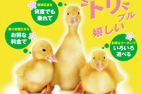 阪神高速、ETC乗り放題パスを発売…1日1230円、2日連続2260円 画像