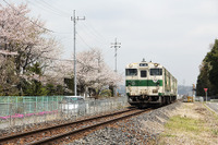 関東エリア最後のキハ40、全廃…乗務員に変化なし 画像