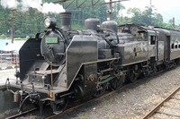 大井川鐵道『夜桜列車』、今年はSLけん引 3月31日、4月1日 画像