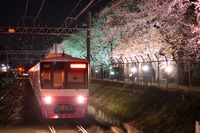 新京成電鉄、今年も自衛隊の桜並木をライトアップ 3月30日~4月5日 画像