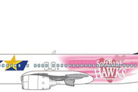 ソフトバンクホークスを応援する「タカガールジェット」運航…スカイマーク 5月中旬から 画像