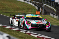 【SUPER GT】メルセデスAMG、GT300クラス最多の5台体制で参戦 画像