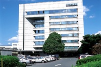 【株価】業績不安説が払拭、全面安の中でマツダが続伸 画像