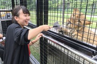 【夏休み】那須サファリパーク、新型アクティビティバス…檻の中に人間が 画像