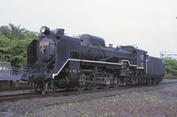 JR西日本「デゴイチ」いよいよ営業運転…『SLやまぐち』けん引 11月25・26日 画像