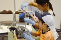【キッズエンジニア2017】小学生がクルマに関わる技術とデザインに触れて、体験 画像