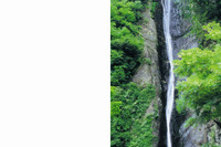 三菱自動車、社会・環境報告書2007 を発行 画像