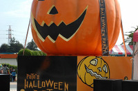プートのハロウィーンパーティ 9月15日から 画像