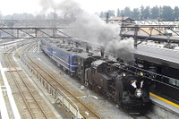 東武のSL『大樹』が臨時運行…ヘッドマークは創立120周年記念仕様に　11月1日 画像