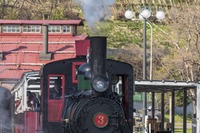 北海道最古の蒸気機関車が存続の危機!?…小樽市の アイアンホース号 が故障 画像