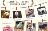 ローカル線終着駅が「ありがたい」動物園に…『西郷どん』に出演した動物も 2月11日 画像