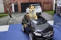 新車でも新車のにおいがしないボルボ、そのわけは…インターペット2018 画像