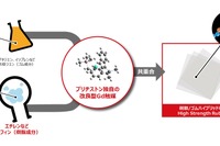 ゴムのしなやかさと樹脂の強靭さを兼ね備えたタイヤ---ブリヂストンが材料開発に成功 画像