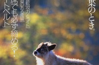 後席シートベルトがどれだけ大切か……衝突テスト連続写真 画像