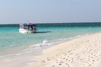 【夏休み】パパは「海」、ママは「テーマパーク・遊園地」…子どもをクルマで連れて行きたいところ 画像