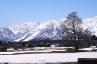 KDDI、5Gの有効性を検証するための実証実験を実施 除雪車の運行支援など 画像