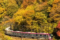 高尾山からの帰路に初の座席指定列車…11月に運行される京王の『Mt.TAKAO号』 画像