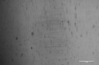 横浜ゴム、高い氷上性能を持つ冬用タイヤを実現する技術を開発 画像