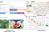 NAVITIMEトラベル、伊勢原市・大山周辺の渋滞回避情報など提供 紅葉の名所 画像