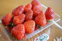 新幹線でイチゴやミニトマトを輸送---日本郵便とJR東日本、物流トライアルで連携 画像