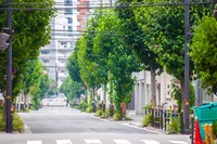 地域公共交通会議での議決方法の考え方を改正へ 国交省 画像