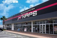 ナップス、一般投票による新ロゴ決定 グローバル展開加速へ 画像