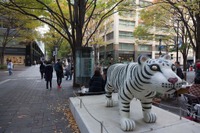 災害時に高精度屋内地図を活用して情報共有サービス、東京駅周辺で実証実験へ 画像