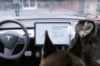 テスラ モデル3に「愛犬モード」採用［動画］ 画像