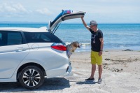 【青山尚暉のわんダフルカーライフ】コンパクトでも大型犬まで乗せられるドッグフレンドリーカー4選 画像