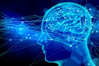 モビリティやロボットに脳科学を応用 ホンダと脳情報通信融合研究センターが共同研究を開始 画像