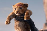 西武線にディズニー最新作映画のラッピング電車…『ライオン・キング』 7月22日から 画像