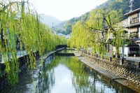 「MINIと楽しむ城崎温泉」、生誕60周年記念イベント開催 9月14-16日 画像
