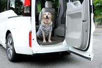 【青山尚暉のわんダフルカーライフ】フロアの低さと犬の乗降性の良さで選ぶ、6ジャンルのドッグフレンドリーカー 画像